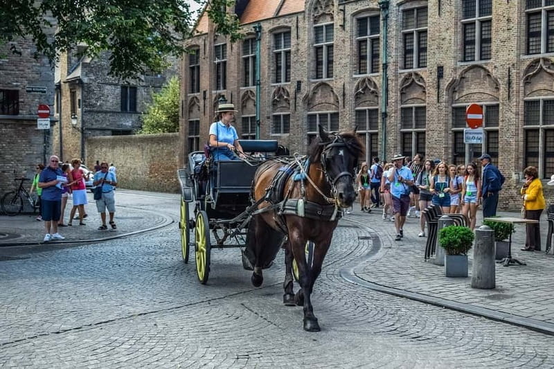 From Amsterdam: Private Sightseeing Tour to Bruges - Amsterdam Pickup: Small Details That Make You Feel Taken Care Of