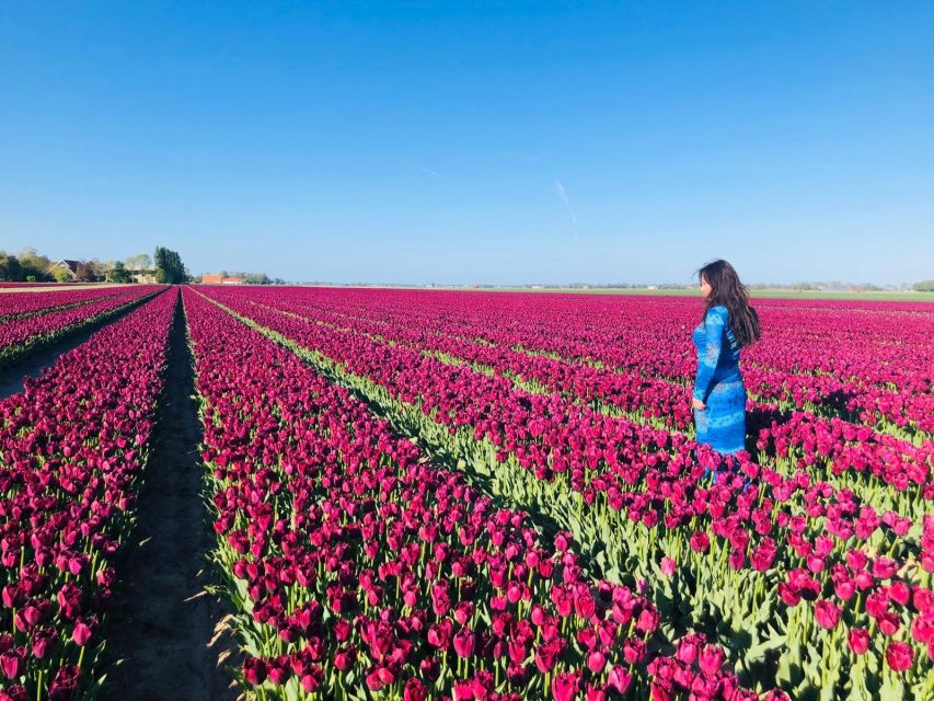 From Amsterdam: Tulip Tour Keukenhof & City Tour Delft - Entering Keukenhof from Amsterdam: timing and logistics that cut stress