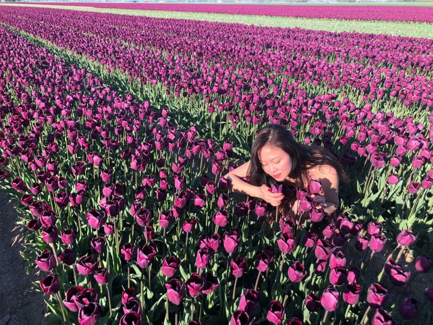 From Amsterdam: Tulip Tour Keukenhof & City Tour Delft - Price and value: what you’re paying for at $169 per person