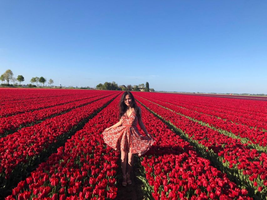 From Amsterdam: Tulip Tour Keukenhof & City Tour Delft - A few smart tips so your day feels smoother
