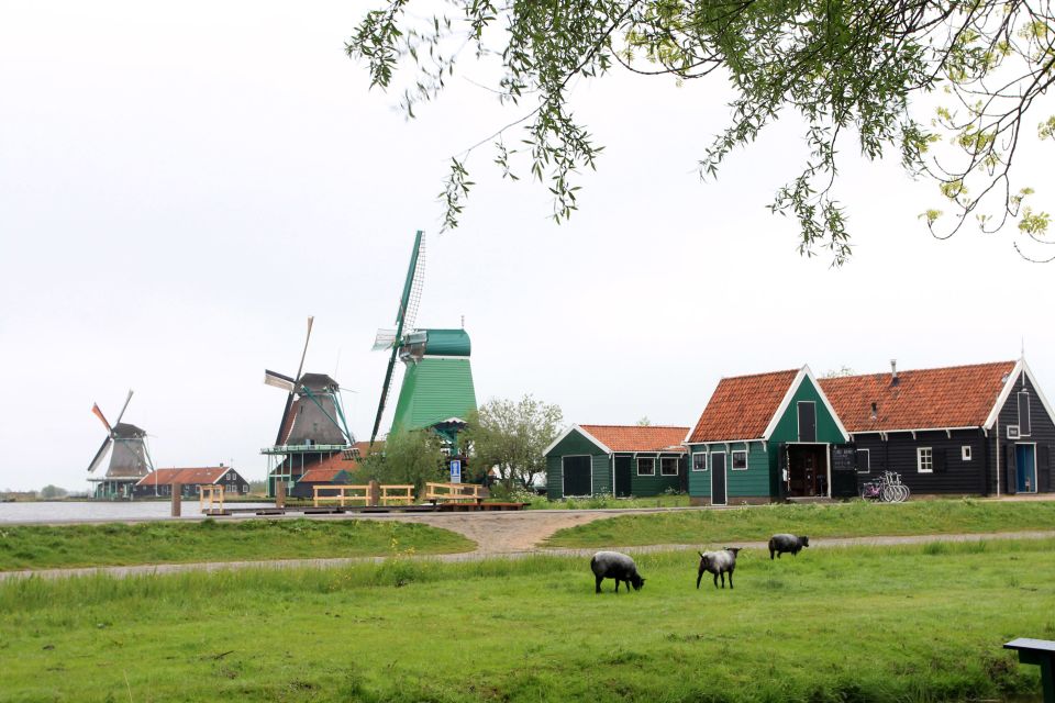 From Amsterdam: Windmills of Zaanse Schans Tour - Photo strategy: the best timing inside a 5-hour window