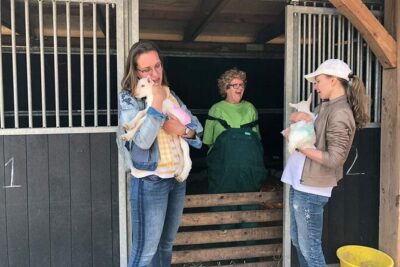Full-Day Private Guided Countryside Tour from Amsterdam by Bike - Nieuwendammerdijk: Wooden Houses, Dykes, and a Coffee Stop