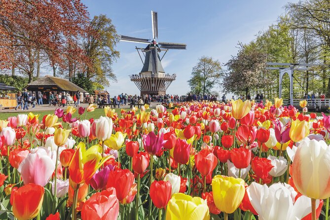Full-Day Skip the Line Keukenhof and Canal Cruise from Amsterdam - Key highlights to look for