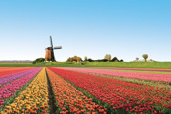 Full-Day Skip the Line Keukenhof and Canal Cruise from Amsterdam - Getting from Amsterdam to the flower fields