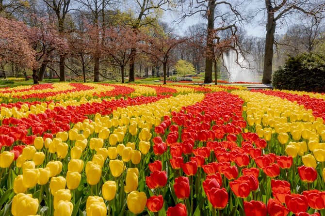 Full-Day Skip the Line Keukenhof and Canal Cruise from Amsterdam - Crowds and the food stalls: where you’ll feel it most