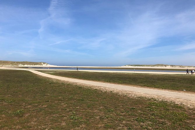 Full day tour to Texel - Friesian Islands - from Amsterdam - Key reasons to consider this Texel day tour