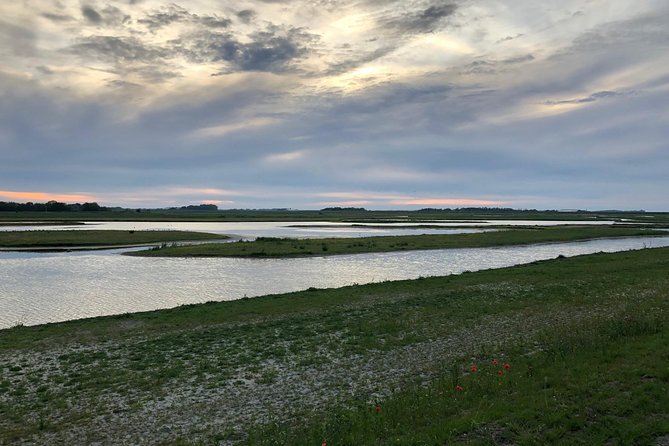 Full day tour to Texel - Friesian Islands - from Amsterdam - Wildlife on the Wadden Sea: birds first, seals as the optional big moment