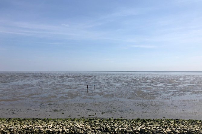 Full day tour to Texel - Friesian Islands - from Amsterdam - Tides and weather: expect variation, not disappointment
