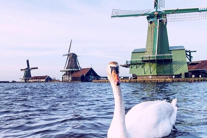 Giethoorn, Private Boat Tour & Zaanse Schans Windmills - Should you book this Giethoorn and Zaanse Schans private day?