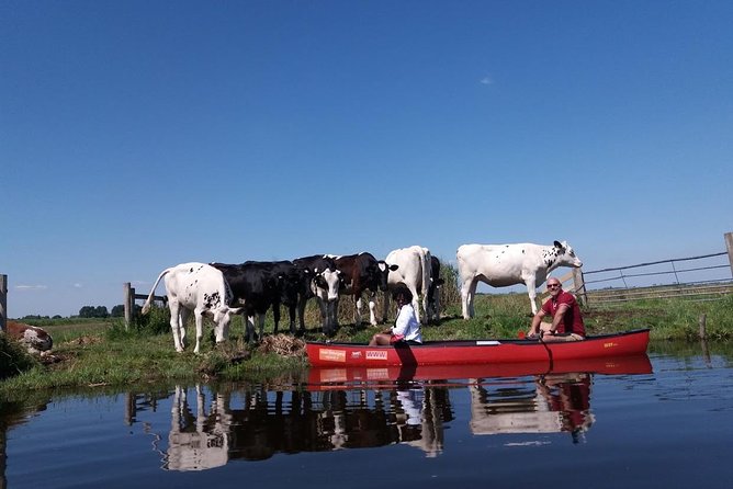 Guided Canoe Adventure with Picnic Lunch in Waterland from Amsterdam - Majel’s Role: Stories That Make the Wetlands Make Sense