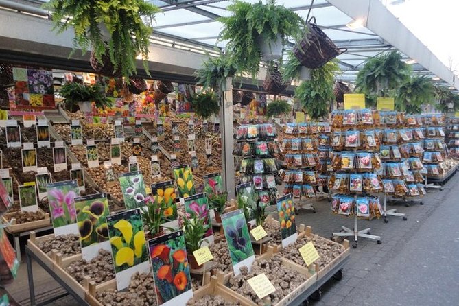 Half-Day Tour of Red Light District and Jordaan District with Private Guide in Amsterdam - Meeting near Amsterdam’s center and keeping your feet happy