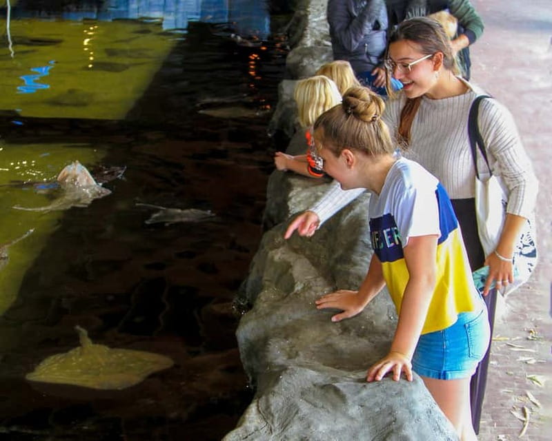 Harderwijk: Dolfinarium Entry Ticket - Your one-day plan: how to fit everything without rushing