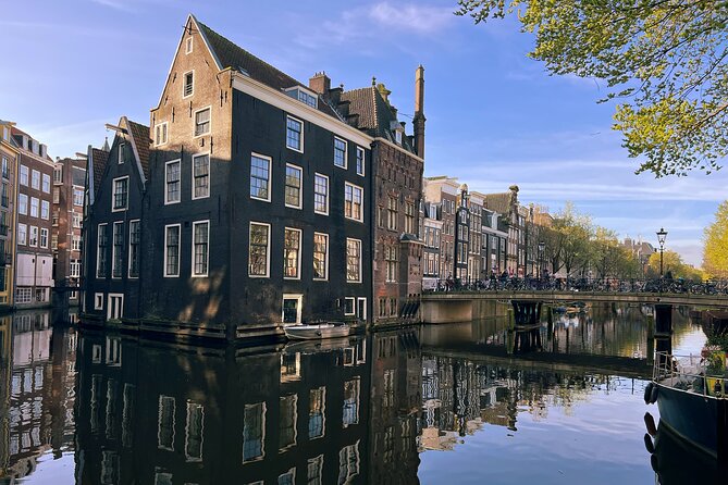 Historical Walking Tour, private with local Dutch guide - Price and value: $96.02 for a private 2-hour orientation
