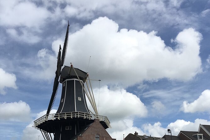Holland Four City Charm Tour - Private Day Tour - Price and value: what $354.86 buys you (and what it doesn’t)