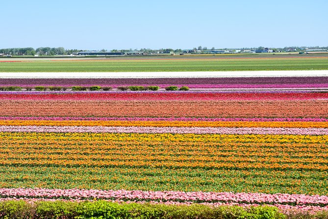 Keukenhof, Flower Fields, Volendam and Zaanse Schans Small-Group Tour - Optional add-on: canal cruise ticket or This is Holland 5D