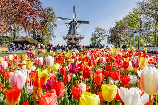 Keukenhof, Flower Fields, Volendam and Zaanse Schans Small-Group Tour - Timing, weather, and what to pack so the day feels smooth