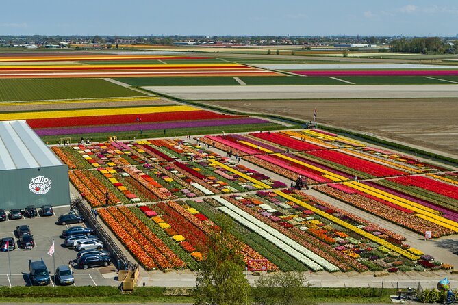 Keukenhof Gardens and Tulips Private Tour from Amsterdam - Key points worth knowing before you go