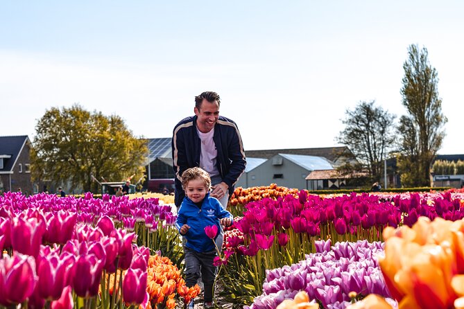 Keukenhof Gardens and Tulips Private Tour from Amsterdam - Private Amsterdam Pickup and Fast Entry to Keukenhof
