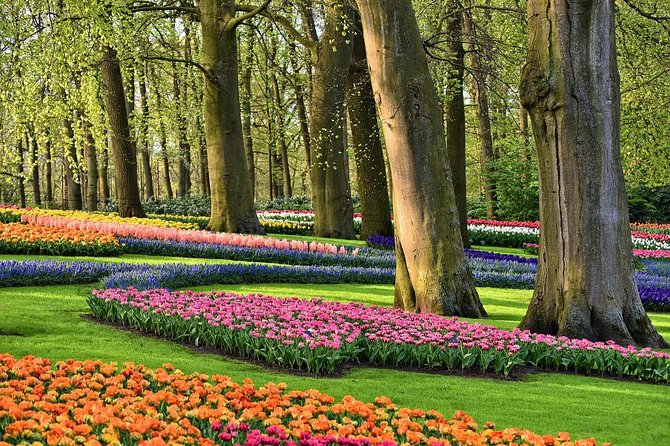 Keukenhof Gardens and Tulips Private Tour from Amsterdam - Keukenhof Gardens Time: How to Spend Your ~2.5 Hours