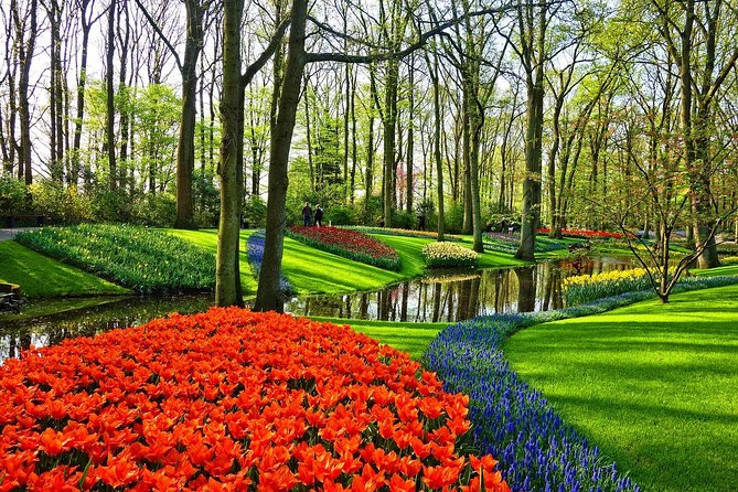 Keukenhof Gardens and Tulips Private Tour from Amsterdam - What the Driver-Host Actually Adds (Beyond Driving)