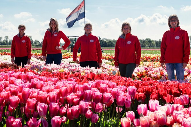 Keukenhof Gardens and Tulips Private Tour from Amsterdam - Price and Logistics: When This Private Day Trip Feels Like a Good Deal