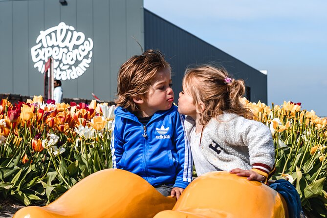Keukenhof Gardens and Tulips Private Tour from Amsterdam - Should You Book This Amsterdam Keukenhof Private Tour?