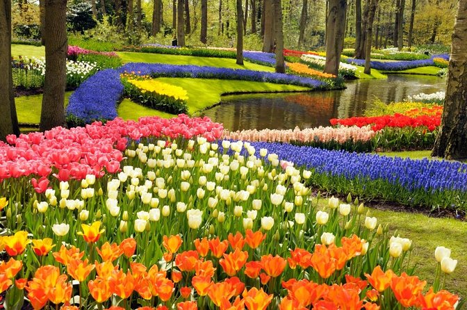 Keukenhof Gardens and Tulips Private Tour from Amsterdam - FAQ
