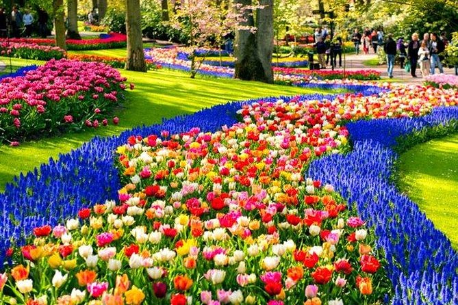 Keukenhof Skip-the-line Tickets: Countryside & Farm Private Tour - Key highlights worth planning for