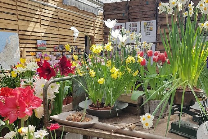 Keukenhof Skip-the-line Tickets: Countryside & Farm Private Tour - Private Mercedes Day Trips From Amsterdam: What You’re Paying For