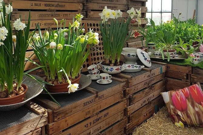 Keukenhof Skip-the-line Tickets: Countryside & Farm Private Tour - Lisse Bulb Farms and Flowerfields: The Dutch Tulip Look Outside the Park