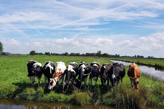 Keukenhof Skip-the-line Tickets: Countryside & Farm Private Tour - Volendam Harbor Time: The Fishing Village Mood You Want