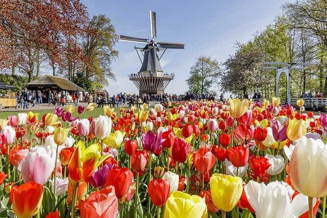 Keukenhof Skip-the-line Tickets: Countryside & Farm Private Tour - Price and Logistics: Does $548.47 Per Person Make Sense?