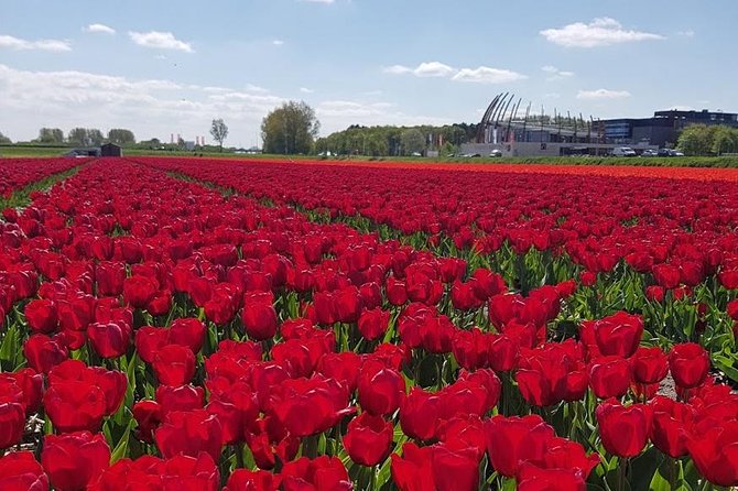 Keukenhof Skip-the-line Tickets: Countryside & Farm Private Tour - The Human Part: Guides, Safety, and Dutch Chat