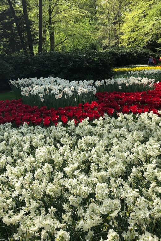 Keukenhof, Tulip Farm, Flower Fields & Windmills - Zaanse Schans: Dutch heritage and the thrill of working windmills