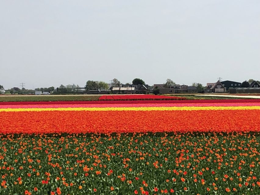 Keukenhof, Tulip Farm, Flower Fields & Windmills - The best fit: who will like this tour most