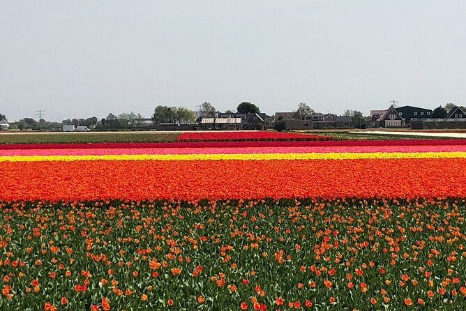 Keukenhof, Tulip Farm, Flower Fields & Zaanse Schans Windmills - Zaanse Schans Windmills: Working Heritage and Dutch Crafts