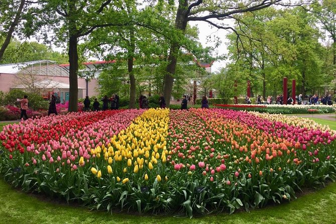 Keukenhof's Tulips and Windmills Small-Group Tour from Amsterdam - The clog workshop and cheese farm: short stops, real takeaways