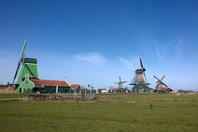 Keukenhof's Tulips and Windmills Small-Group Tour from Amsterdam - Keukenhof gardens: your 3-hour free time block