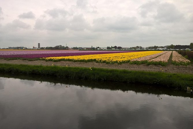 Keukenhof's Tulips and Windmills Small-Group Tour from Amsterdam - Who this tour suits best (and who should think twice)