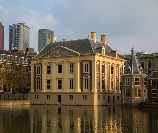 Kinderdijk, The Hague, Mauritshuis Private Tour from Amsterdam - Inside Mauritshuis: how to make your 2 hours count
