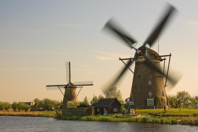 Kinderdijk, The Hague, Mauritshuis Private Tour from Amsterdam - The Peace Palace area and beyond: why the minivan stop plan helps