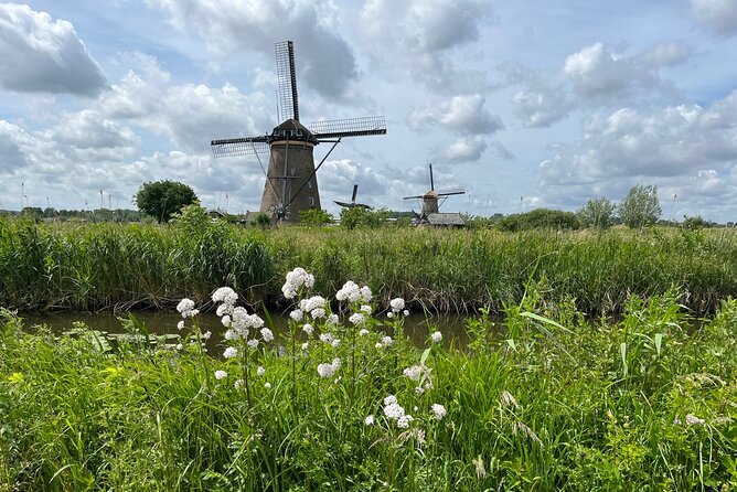 Kinderdijk Windmills, Delft City & Delft Blue Factory Visit - Delft Blue factory visit: what you’re really paying for