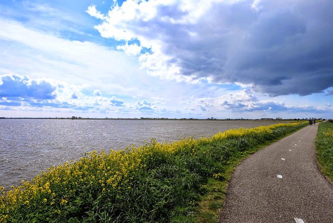 Off the Beaten Paths Dutch Landscape Private Tour 1/2 day Jaguar - Price, Time, and Value: When $541.85 Makes Sense