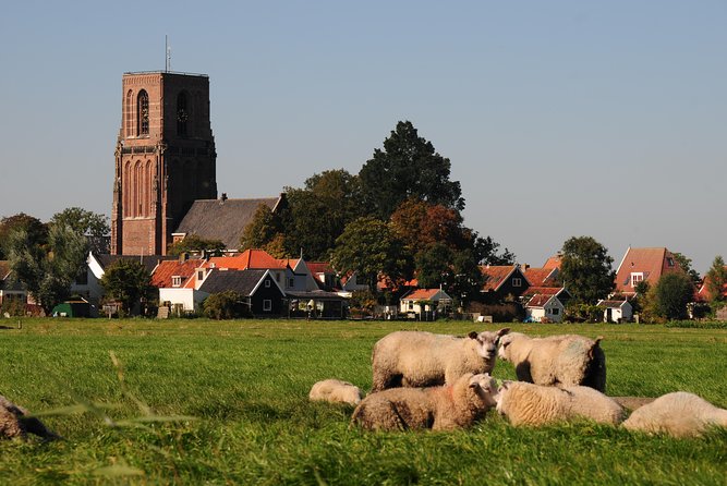 Off the Beaten Paths Dutch Landscape Private Tour 1/2 day Jaguar - Good to Know Before You Go