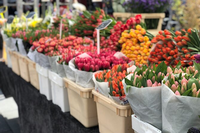 Personalized Hidden Gems of Amsterdam Private Tour with a Local - Why Dam Square Is the Best Starting Line for Amsterdam Stories