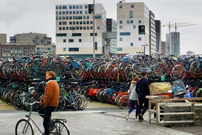 Private Amsterdam Bike Tour with a local guide (also for families) - Jewish Synagogue and Artis Zoo: culture and animals on the same loop