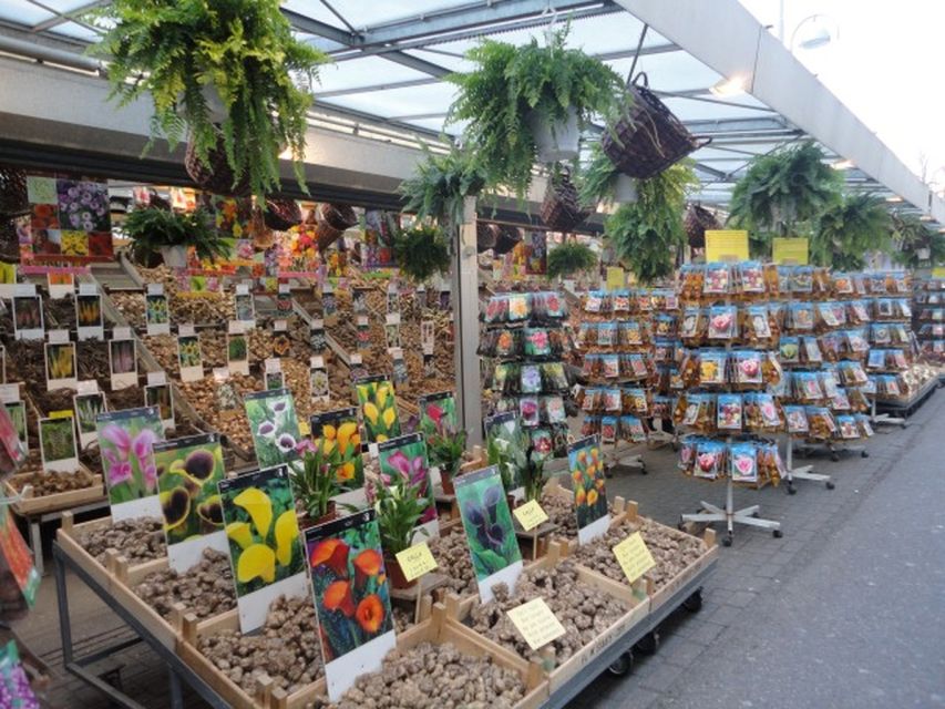 Private Amsterdam Walking Tour - Key things to know before you go