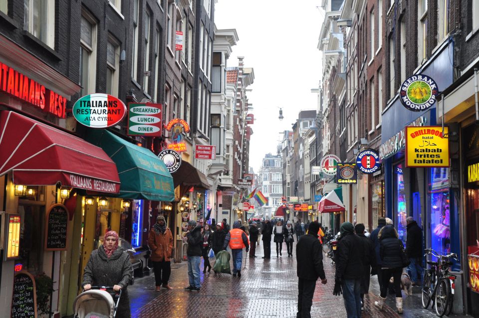Private Amsterdam Walking Tour - A private 2-hour Amsterdam sweep with a guide who adjusts