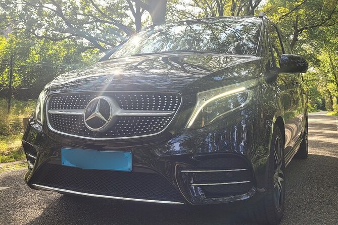 Private Arrival Transfer: Schiphol Airport Amsterdam - Sedan vs. Minivan: Choosing the Right Vehicle for Your Group Size