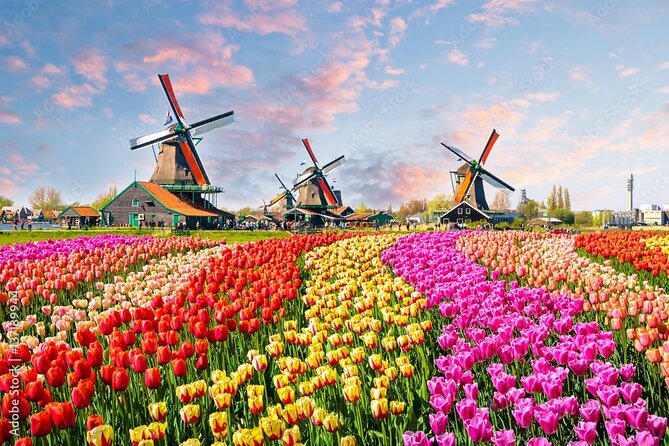 Private Countryside Tour From Amsterdam - Key highlights to know before you go